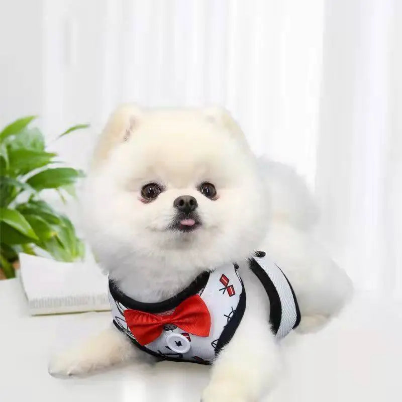Original harness for small and medium dogs with chest strap and leash.