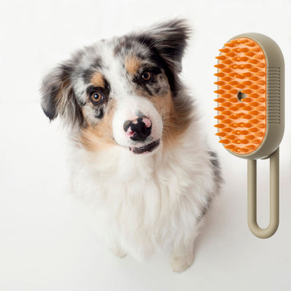Pet Grooming Steam Massage Brush