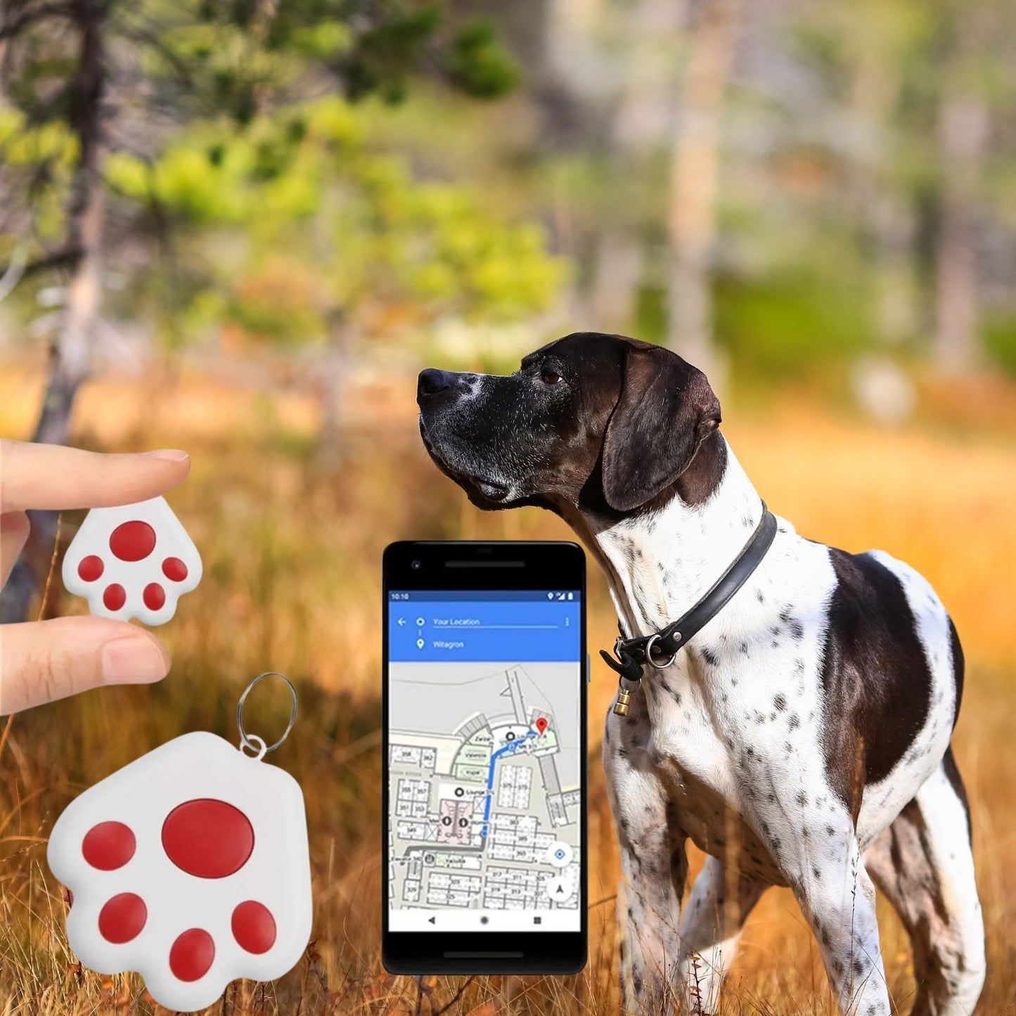 Mini GPS tracker for dogs