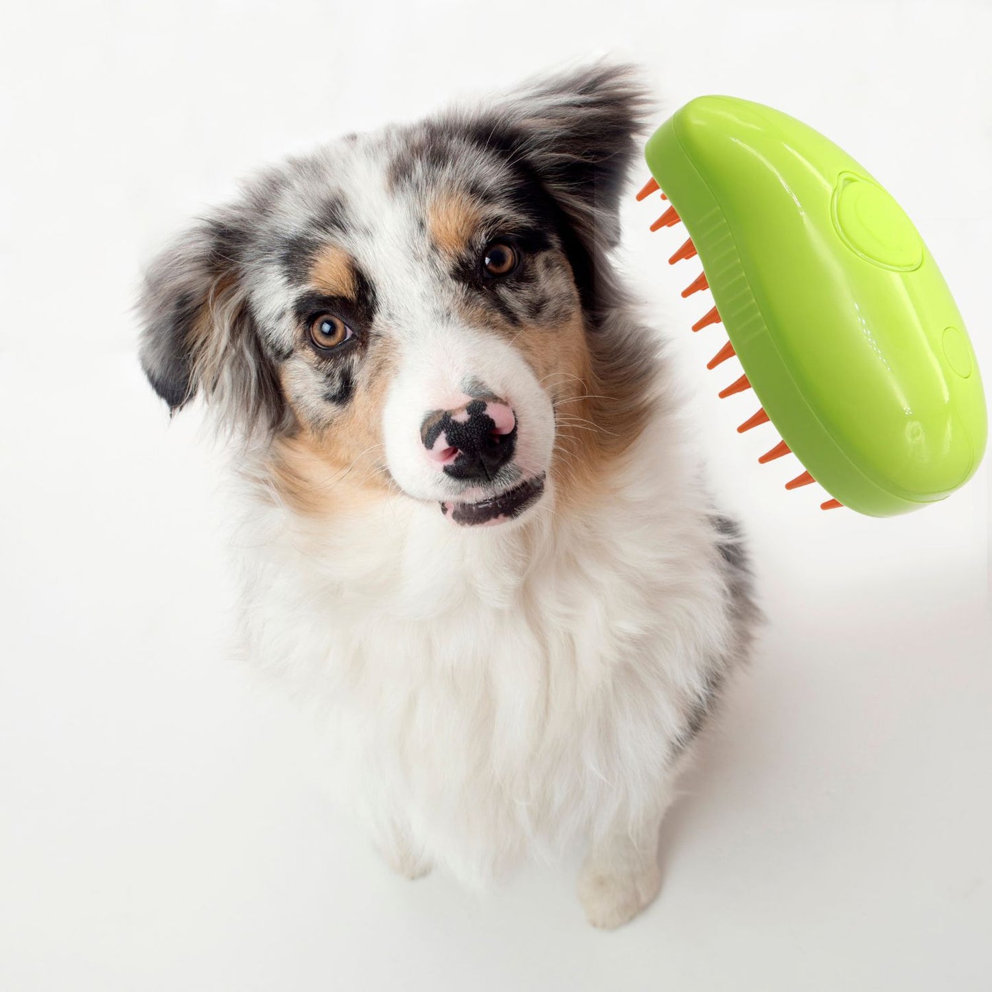 Pet Grooming Steam Massage Brush