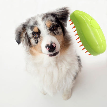 Pet Grooming Steam Massage Brush