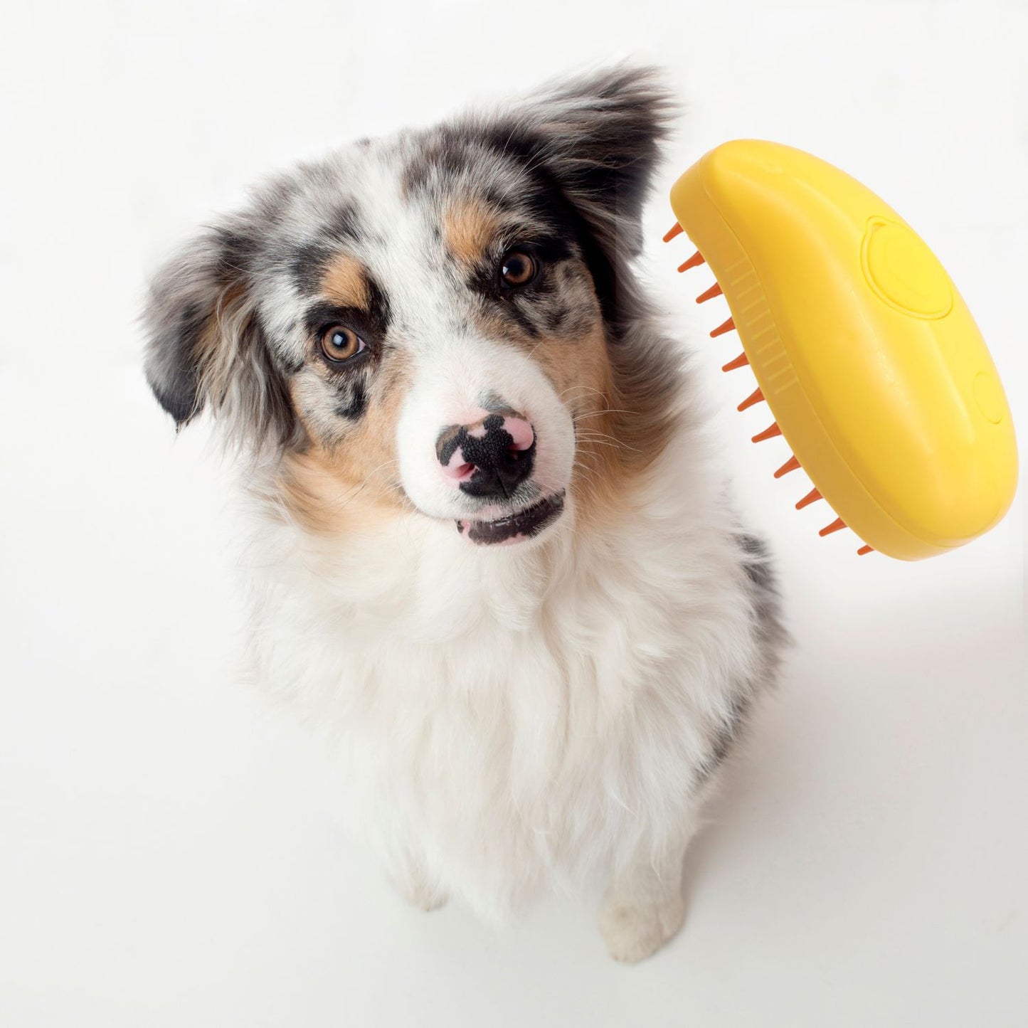 Pet Grooming Steam Massage Brush