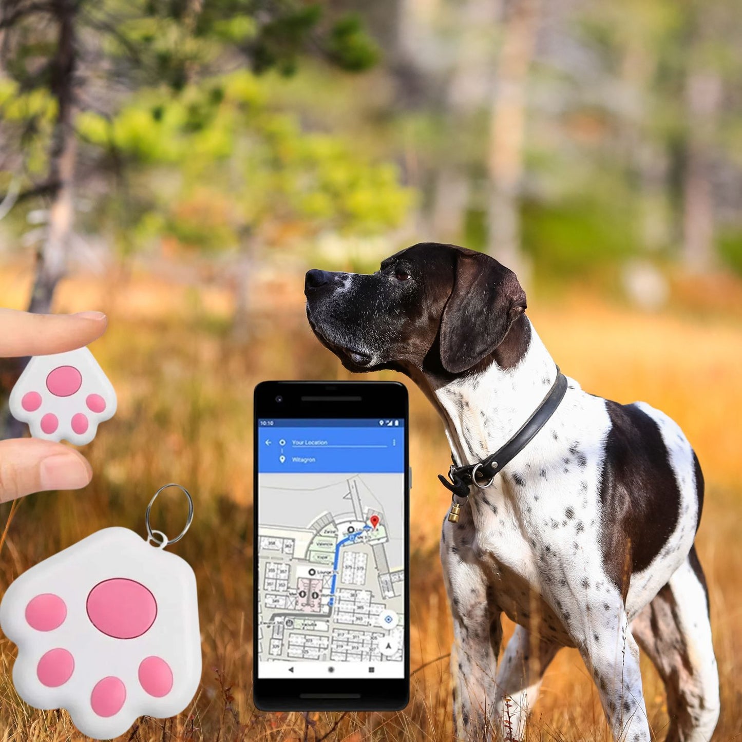 Mini GPS tracker for dogs