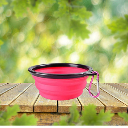 Collapsible Silicone Dog Bowl