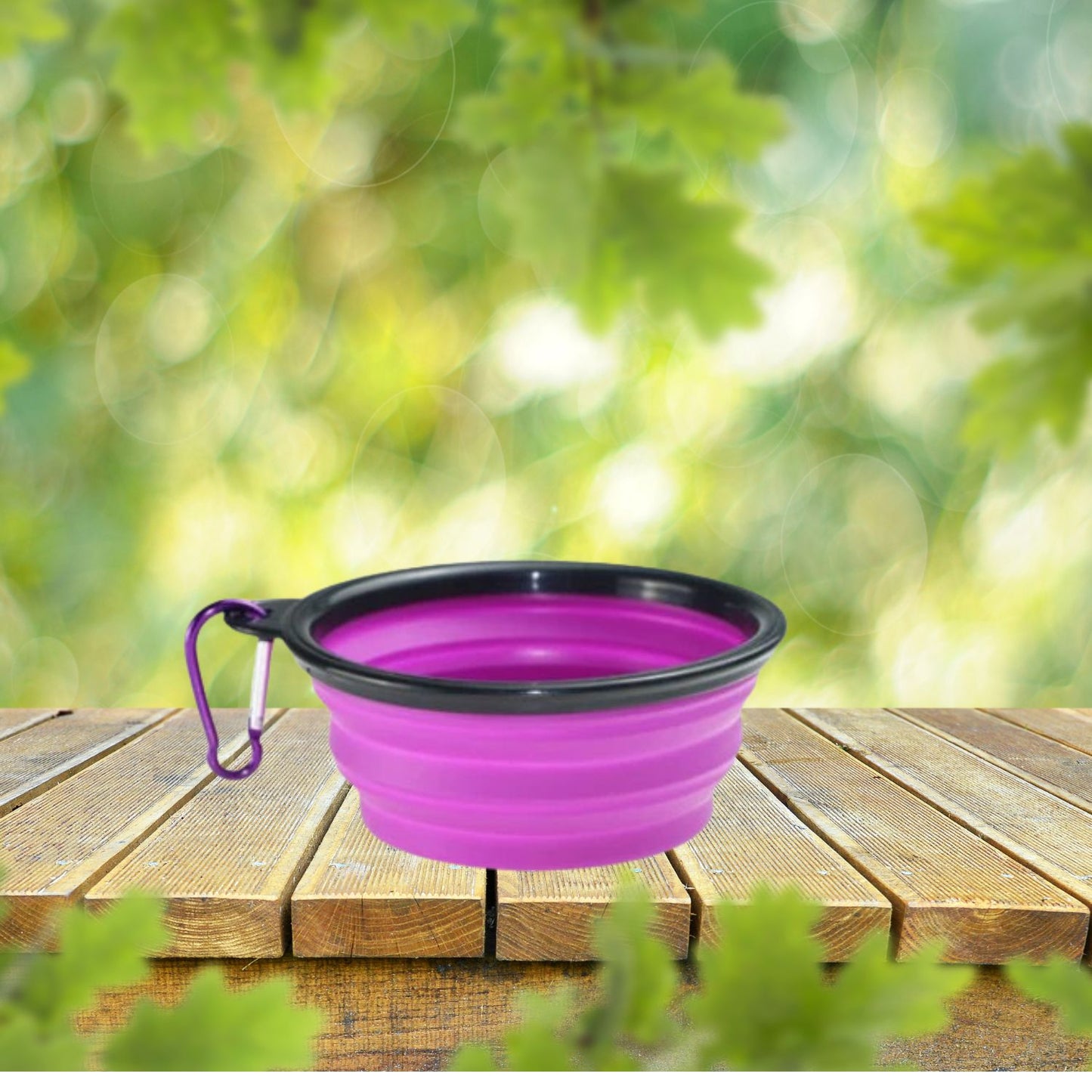 Collapsible Silicone Dog Bowl