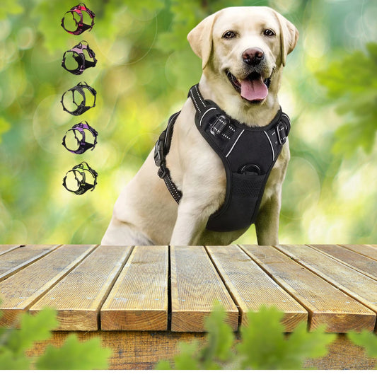 reflective dog harness