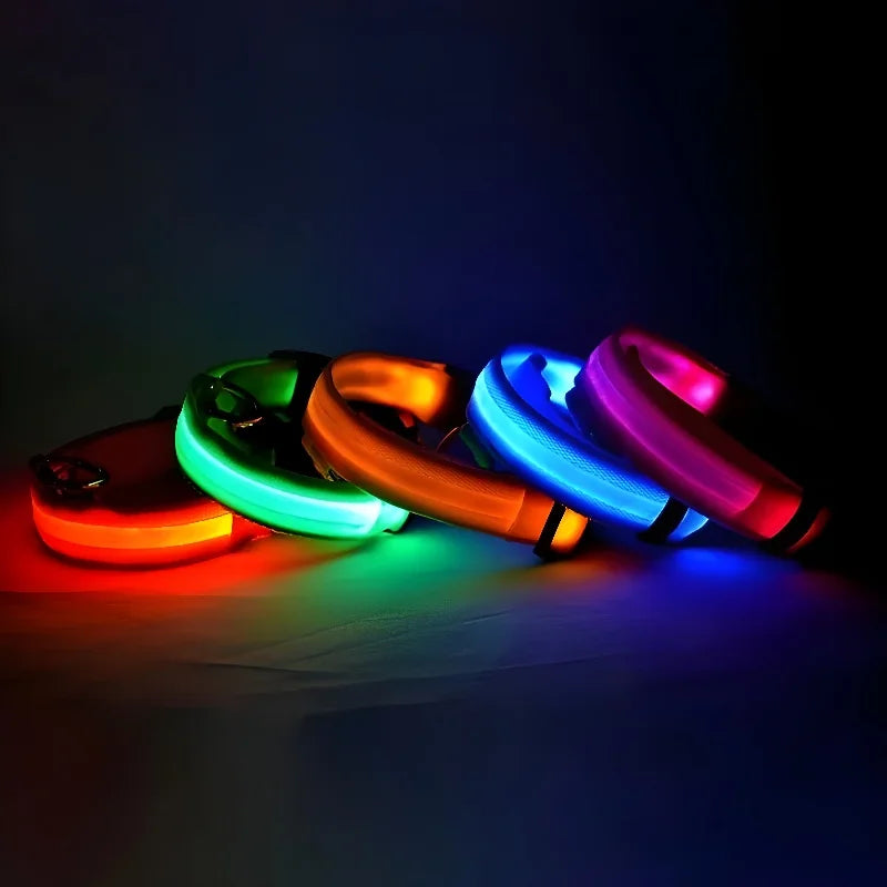 Fluorescent LED dog collar