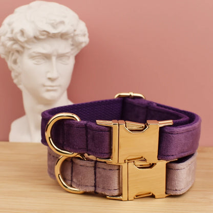 Customizable velvet collar with quick release buckle.