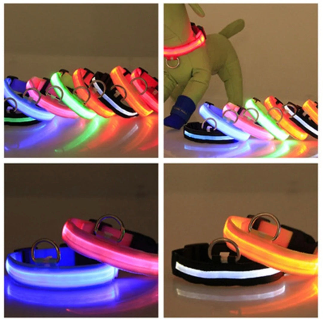 Fluorescent LED dog collar