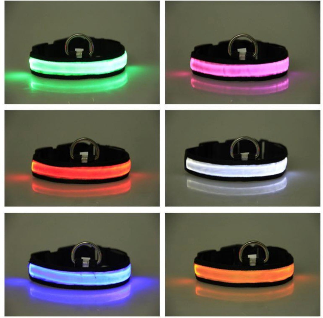 Fluorescent LED dog collar