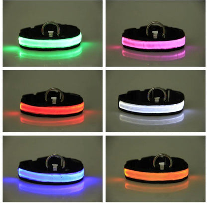 Fluorescent LED dog collar