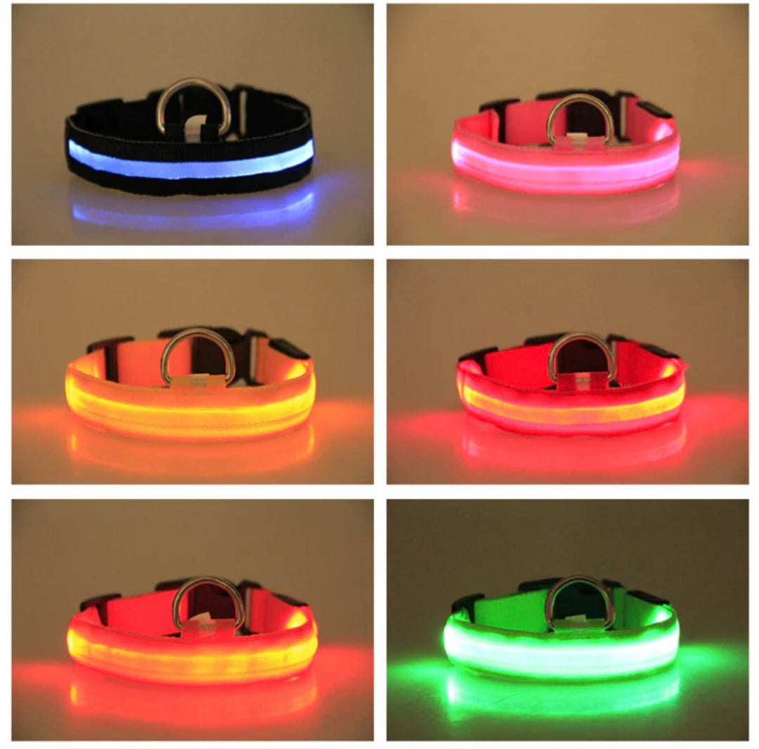 Fluorescent LED dog collar