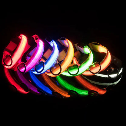 Fluorescent LED dog collar