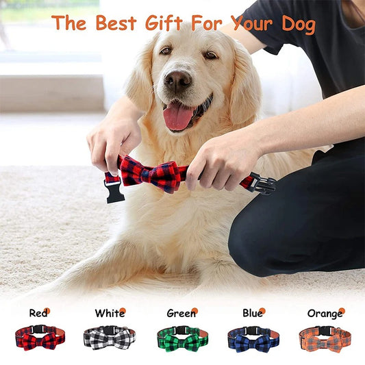 British plaid pet collar