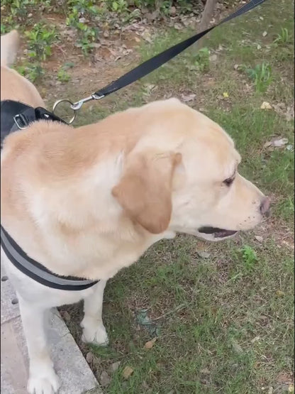 waterproof dog water bottle